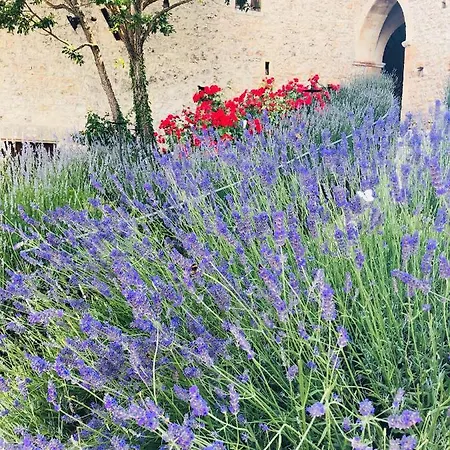 Monastero Fortezza Di Santo Spirito