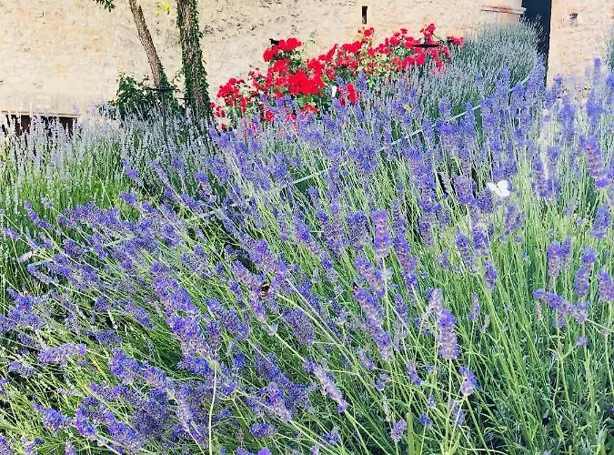 Monastero Fortezza Di Santo Spirito